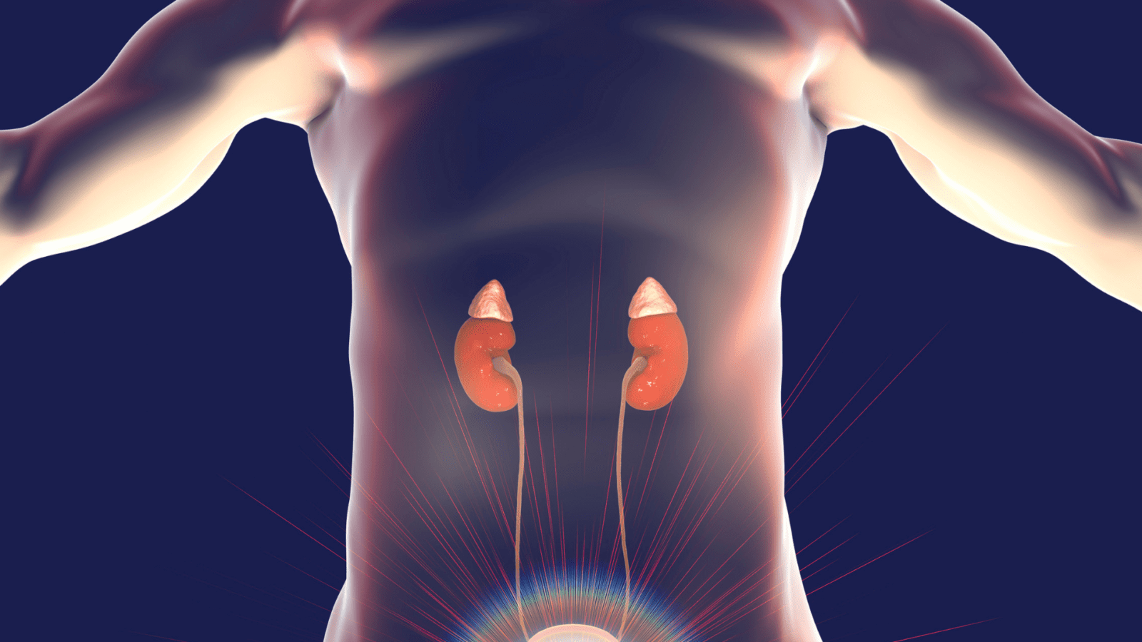 enlarged prostate